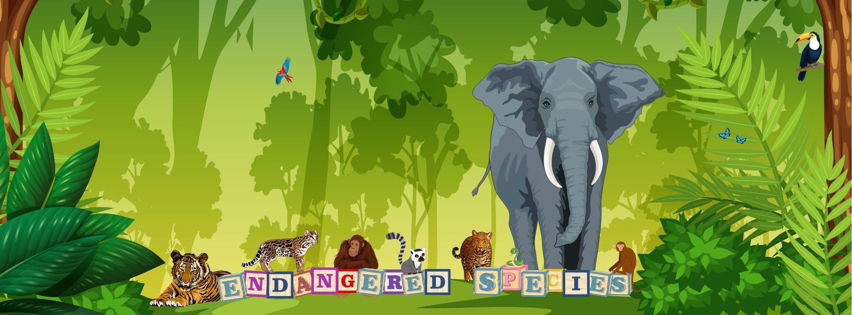 facebook cover(1)