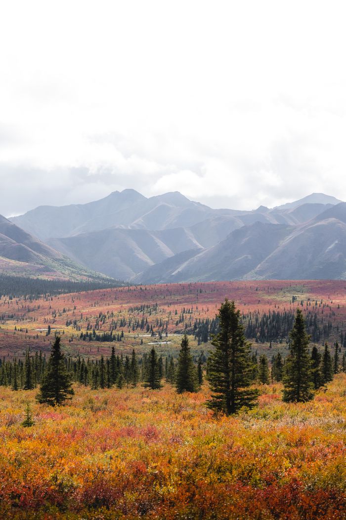 services-img Scenic fall landscape with colorful foliage and mountain backdrop.